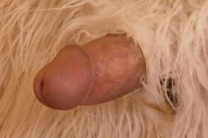老熟妇xxxx88